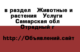  в раздел : Животные и растения » Услуги . Самарская обл.,Отрадный г.